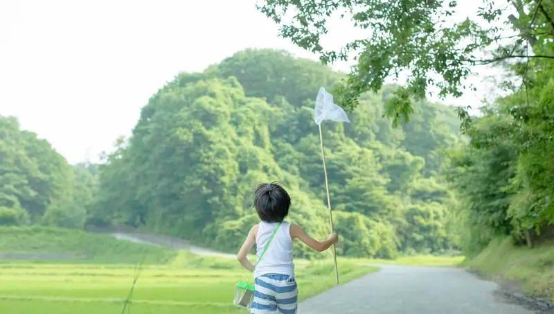 63%离家出走的男孩，家里并不缺钱

他们缺的是一句“今天过得怎么样”

数据把