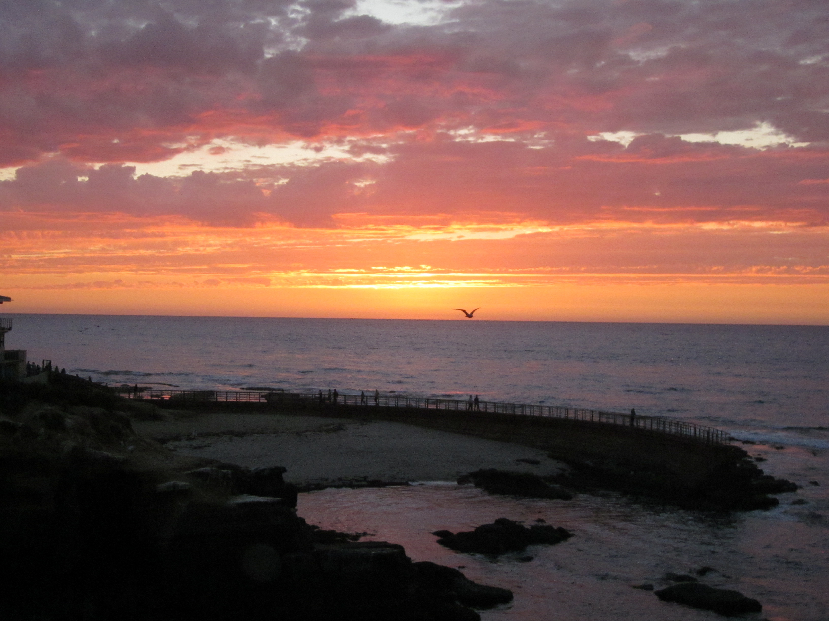 San Diego日记 part I ​​​