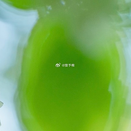 0000翠叶藏芳，浅绽春风柔光穿过翠色叶片，枝桠间缀满细碎白花。花瓣素净，在风里