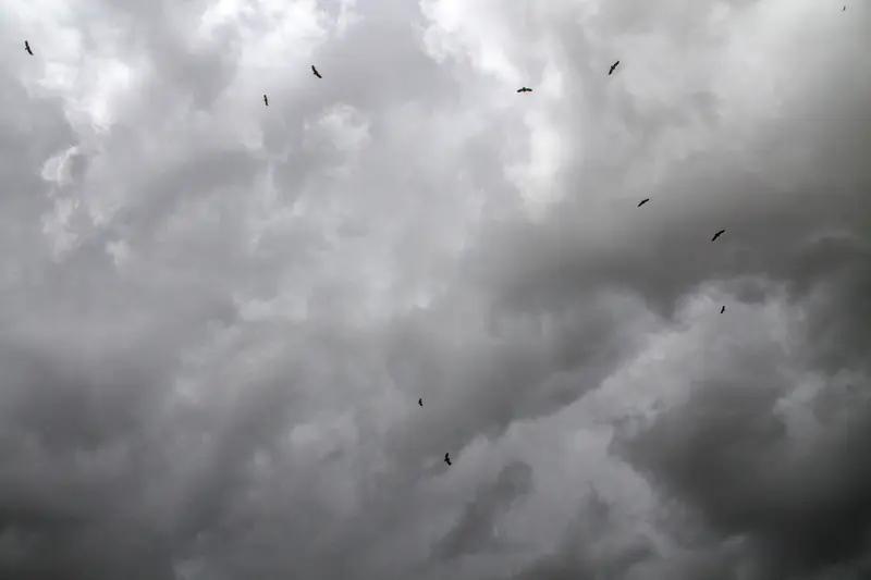 今天（3月30日）早上8时许，狂风暴雨“袭击”广州番禺区珠江花园小区，导致小区内