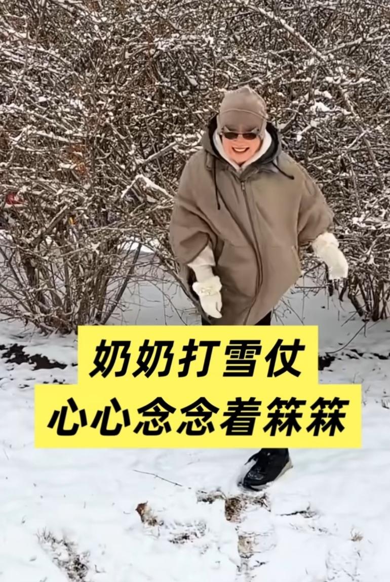 奶奶回到北京遇到大雪，开开心心打雪仗，心念着霖霖要是在就好了，孩子跟着奶奶一定很