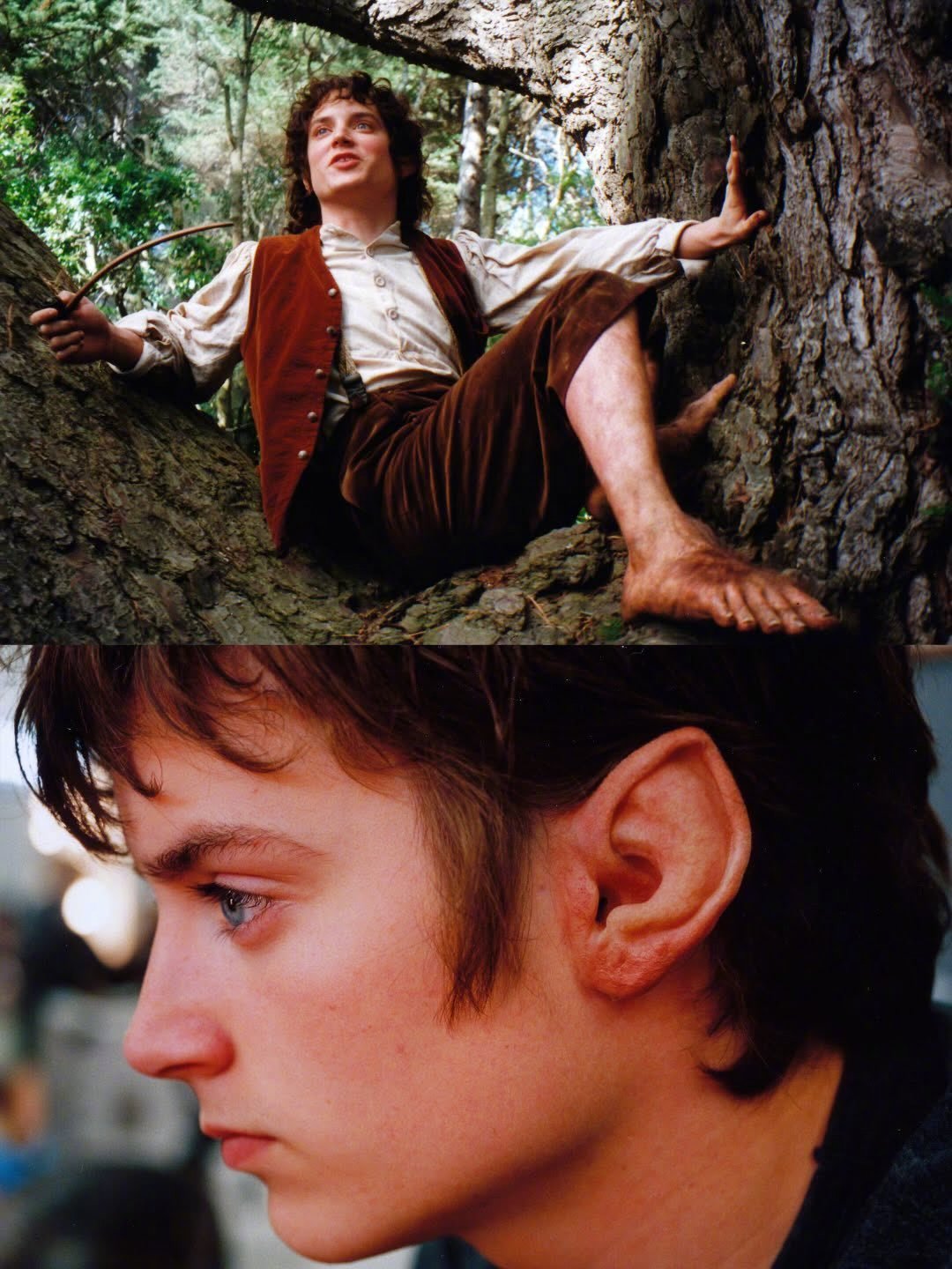 今年是指环王1北美公映25周年，维塔工作室分享指环王1新幕后照 ：四个霍比特人的