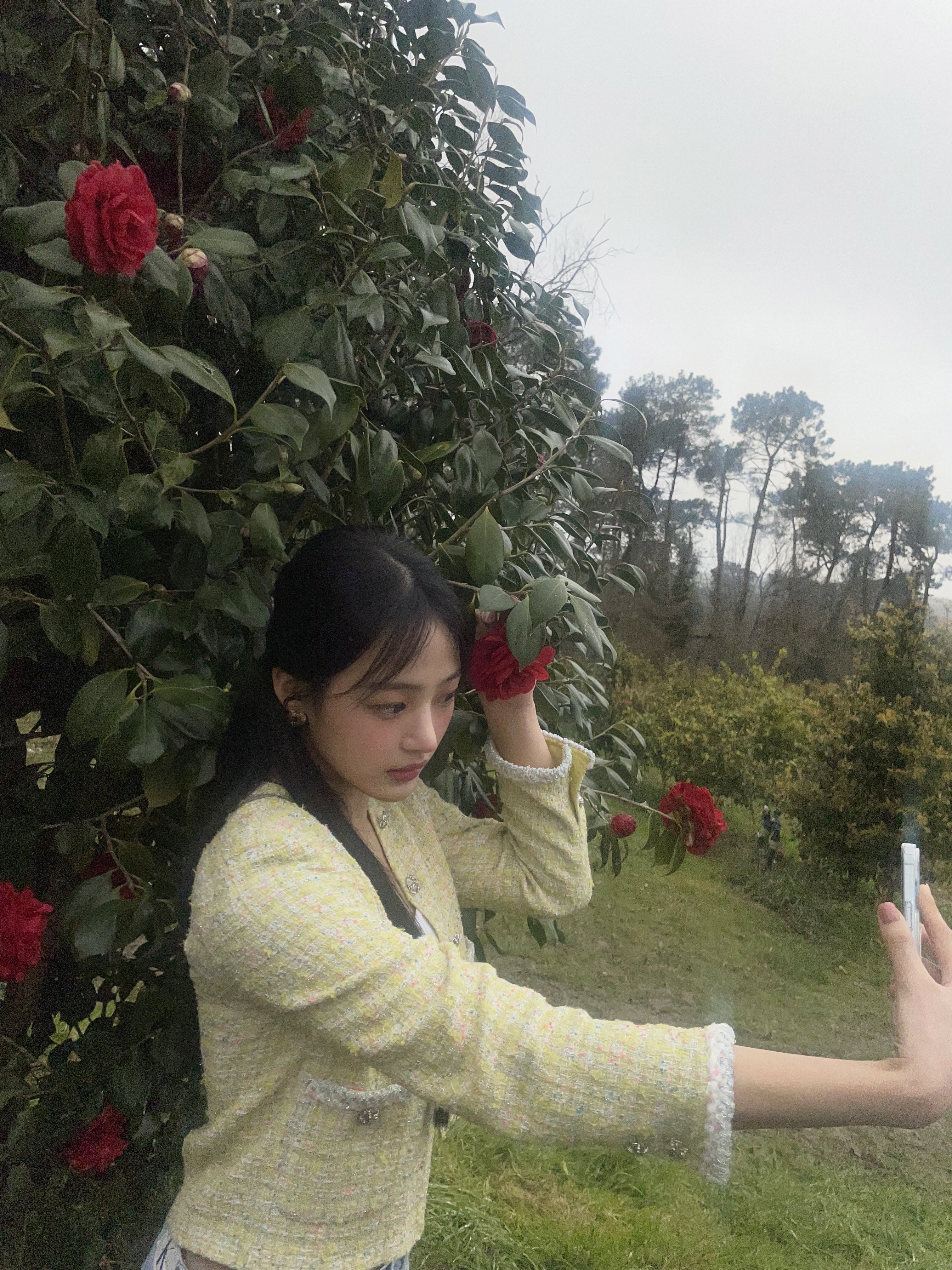 山茶花与Minji🍃🌺 ​​​