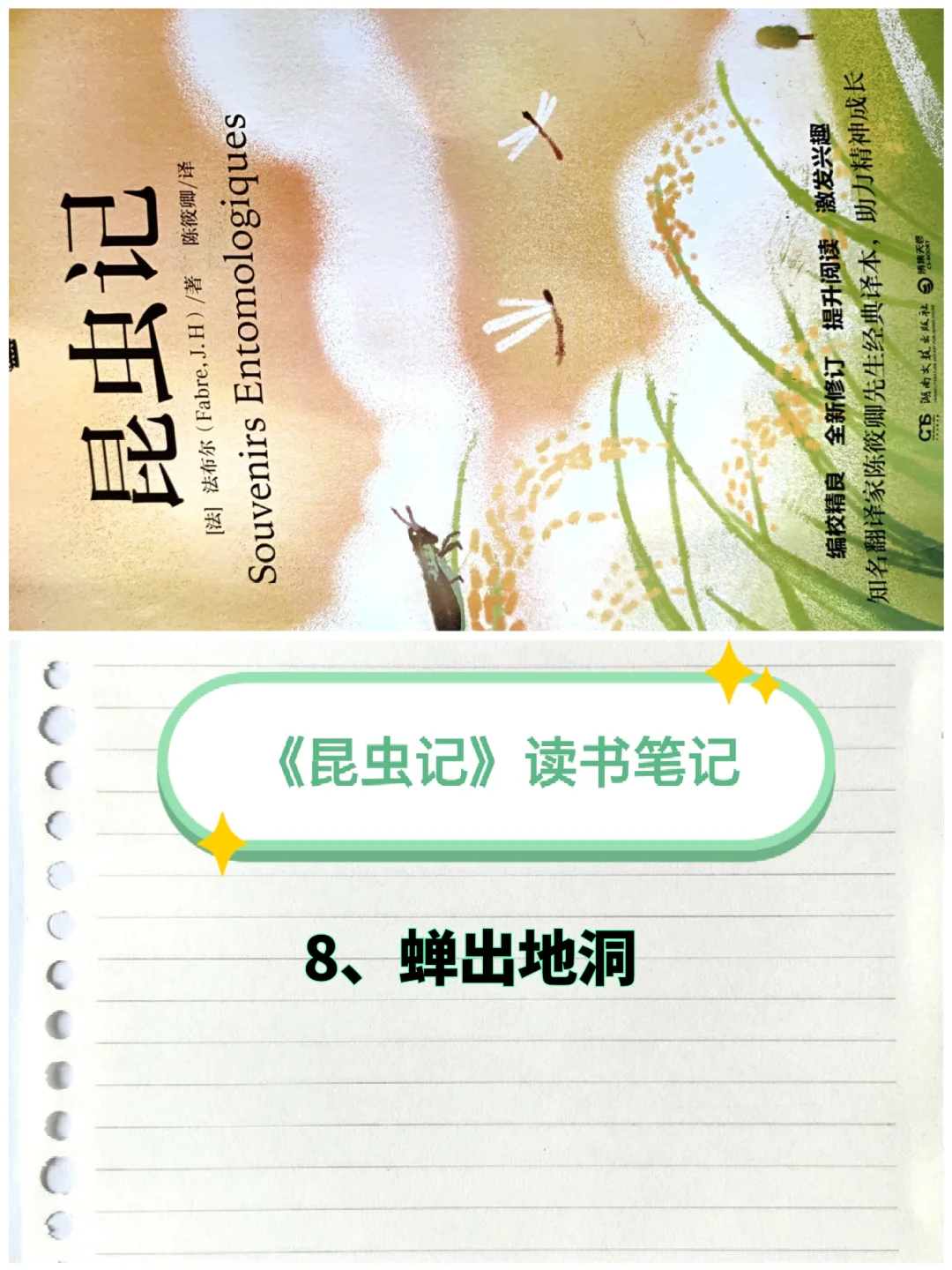 《昆虫记》笔记（8）：蝉出地洞