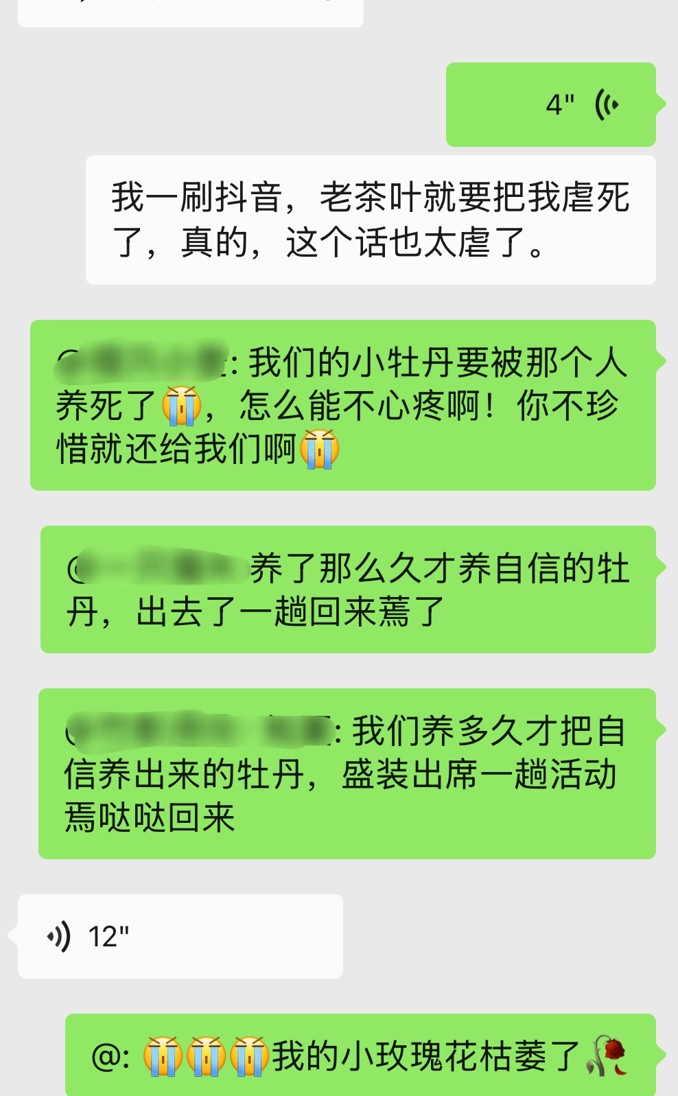 lcy你们要干啥😭 