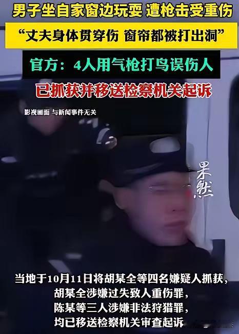 这起事件反映出农村地区部分居民在使用气枪等工具进行打鸟等娱乐活动时存在安全意识不