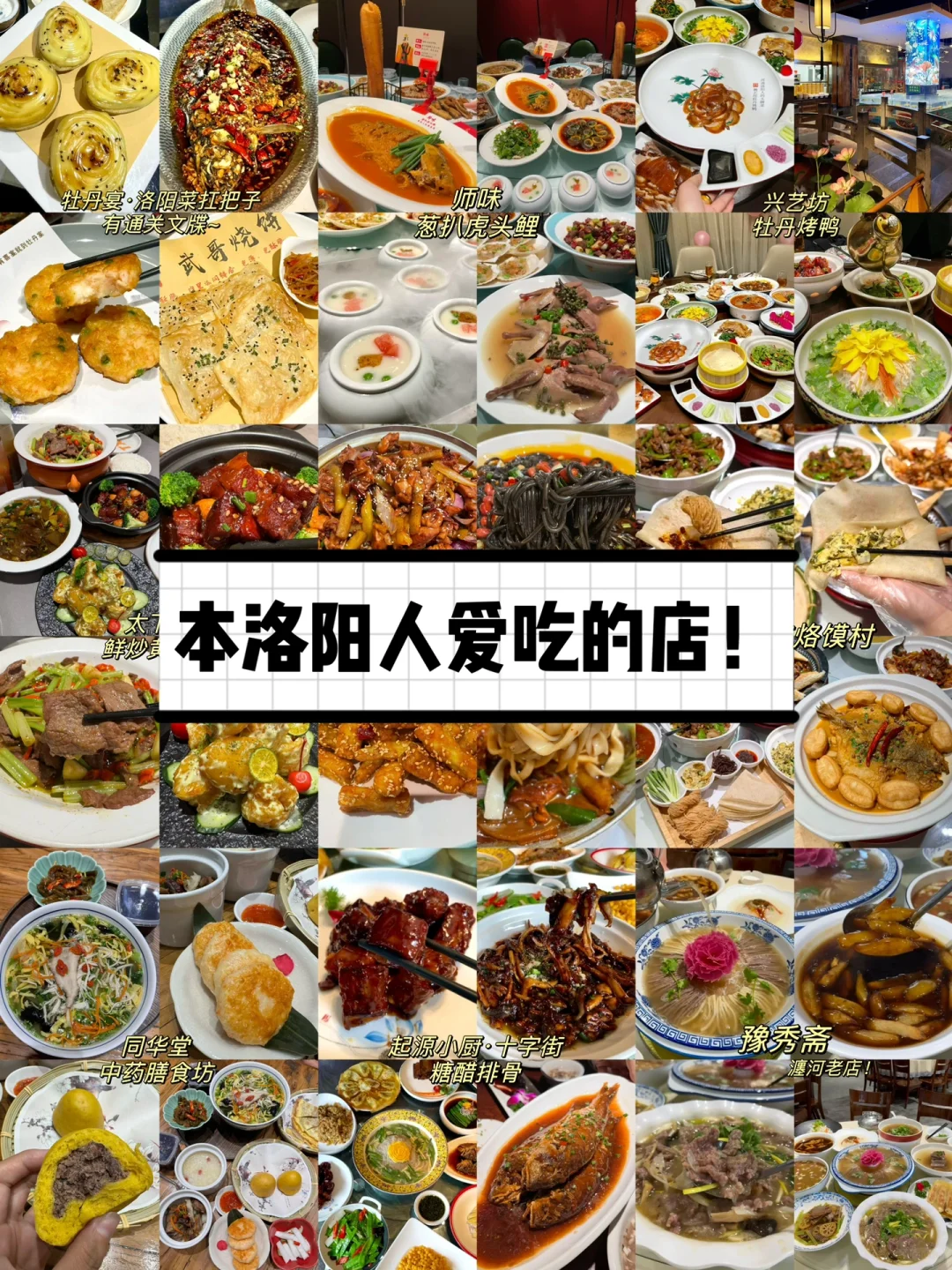 本洛阳人爱吃的店！来旅游的朋友🉑参考😎