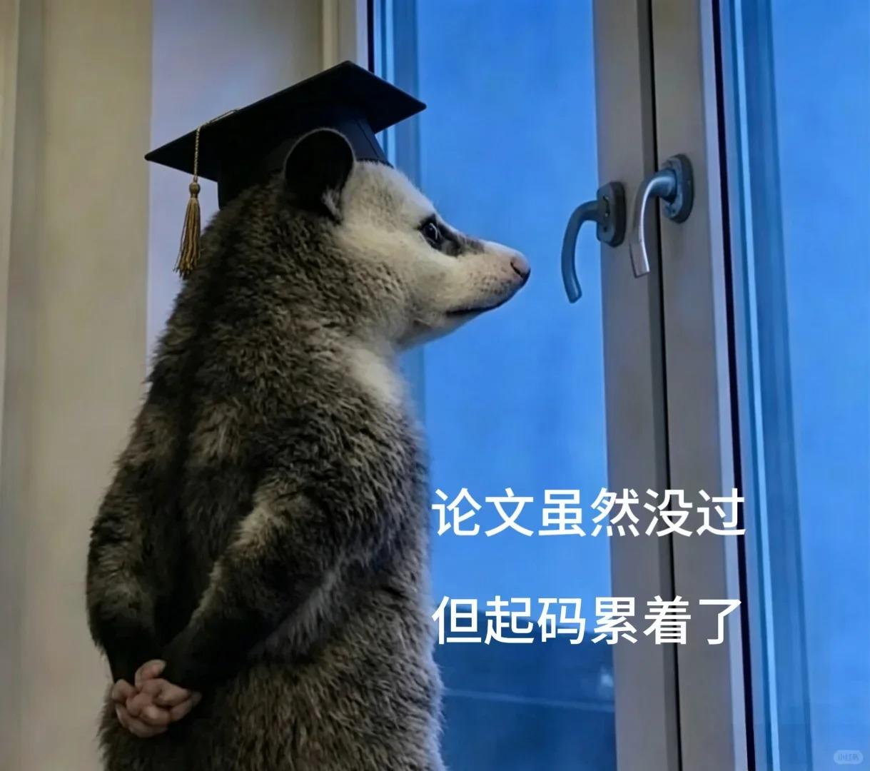 论文倒查时代！这三类刊物，就算见刊后期也可能被清退


如今论文发表早已不是“见