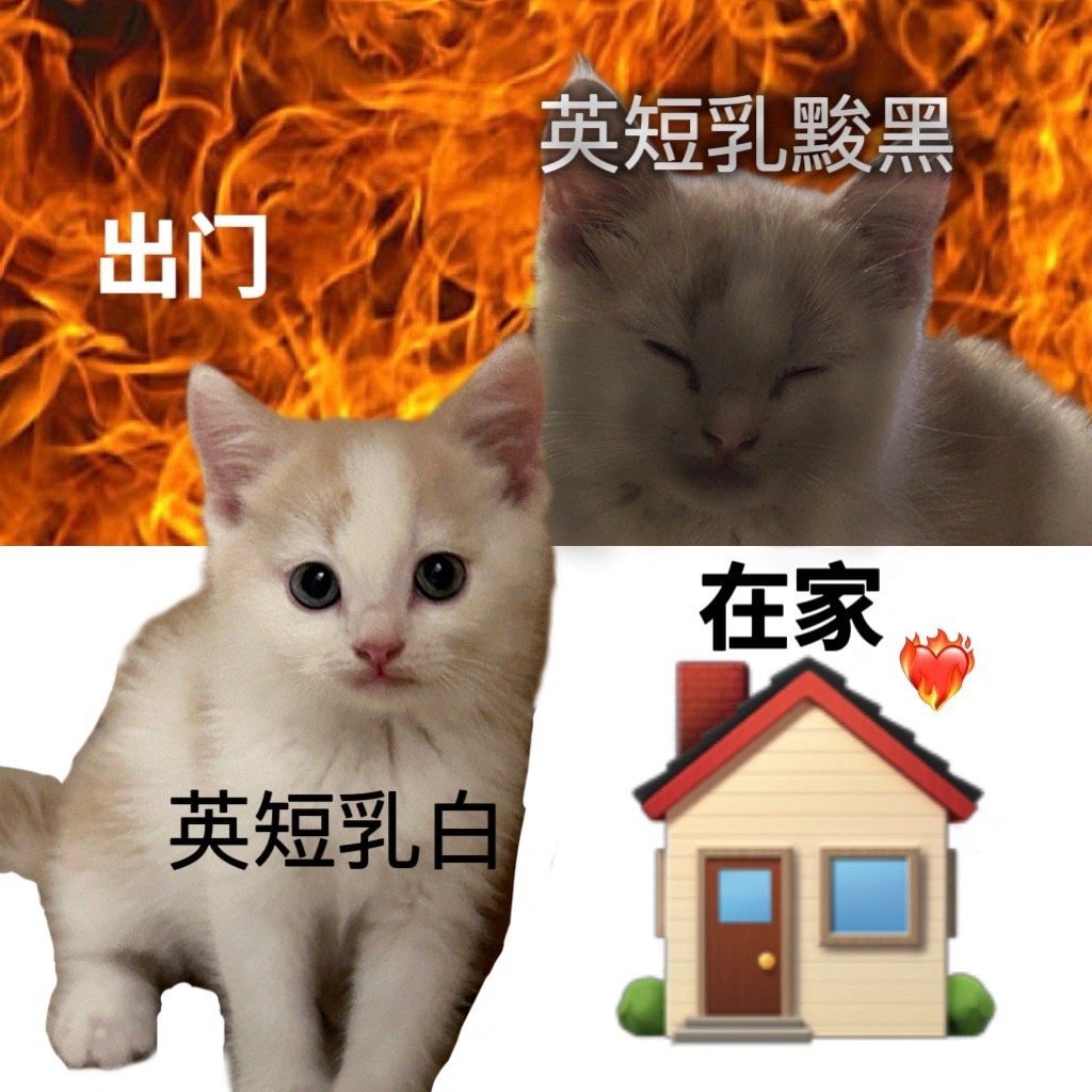 #军训限定皮肤#一些军训可以用上的表情包。这个夏天，你晒黑了吗？[doge] ​