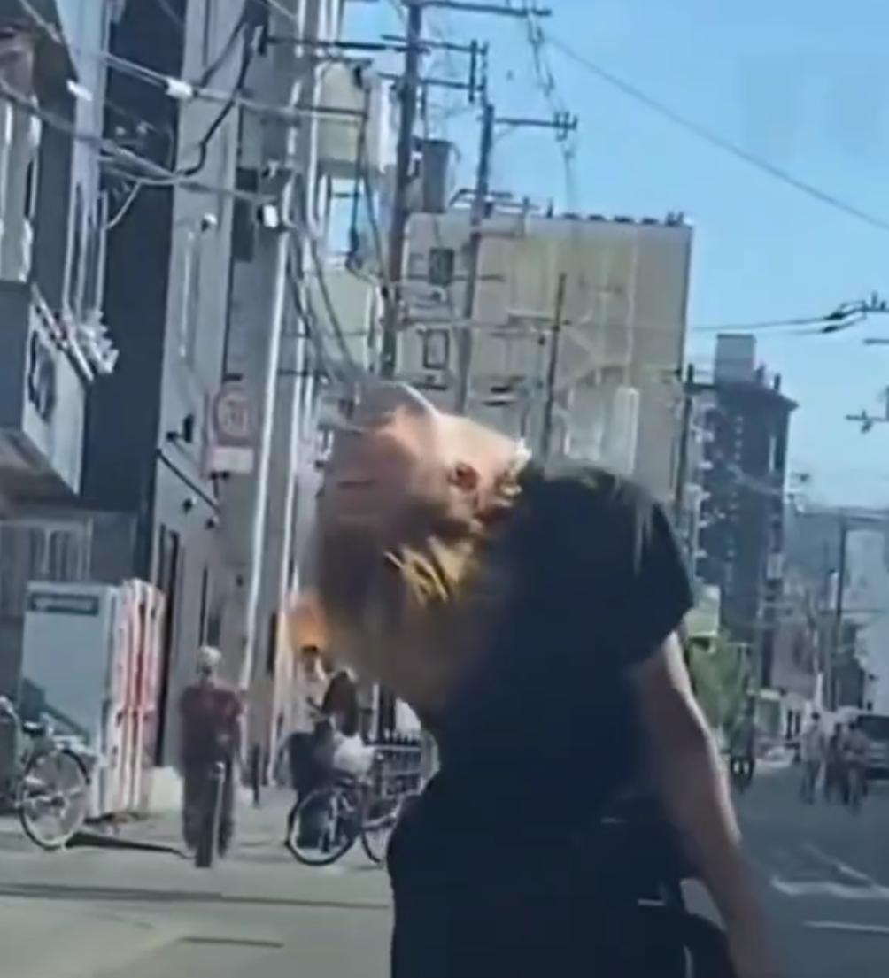 日本街头突现“丧尸”游荡！真相撕开新型毒品可怕面纱
 
太惊悚了！日本大阪街头一