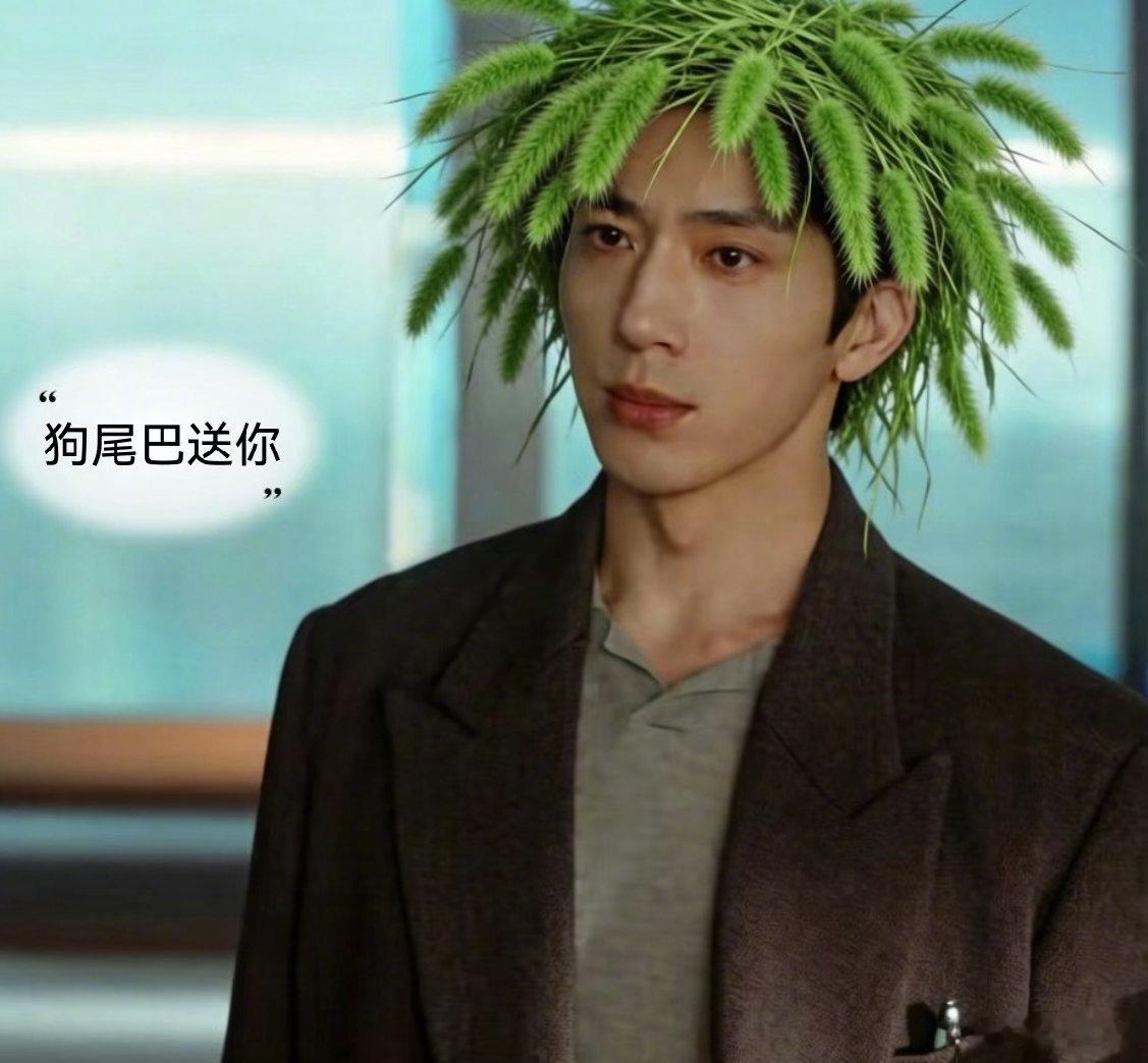 笑晕了 第一次见狗尾巴塑男主 ​​​