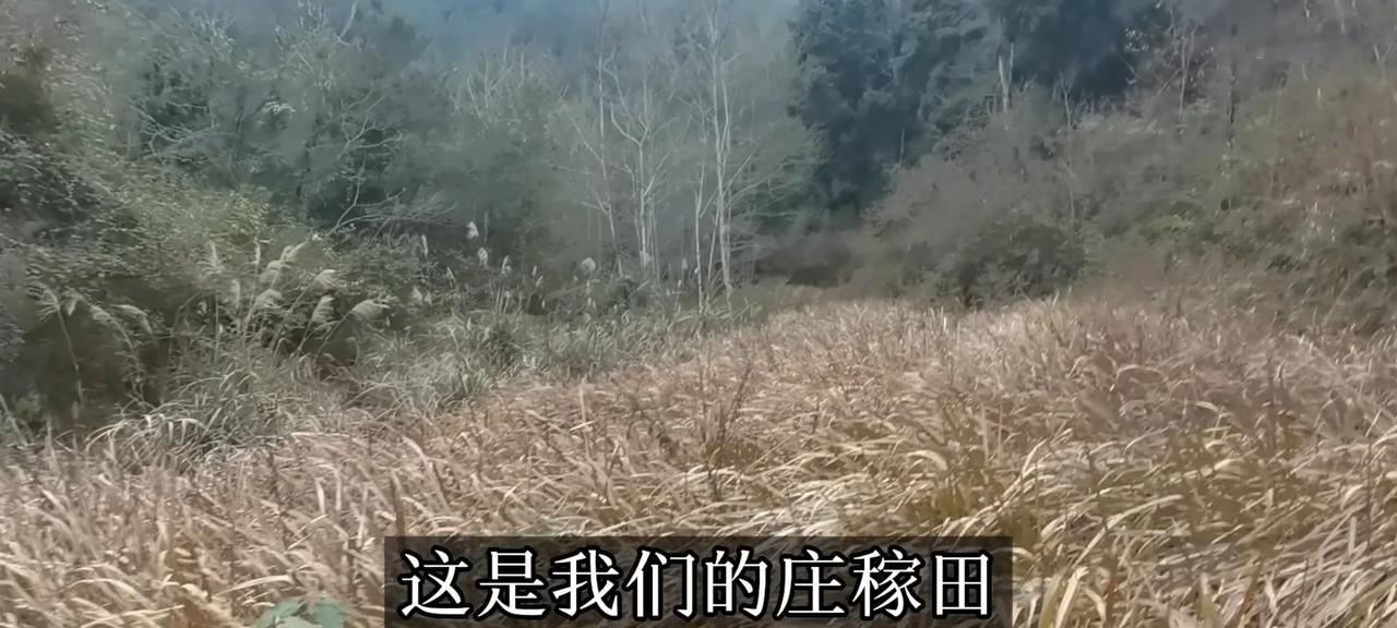 3月1号的时候，我就知道会有今天这个局面。从图1到图6，短短四个月时间，见证了什