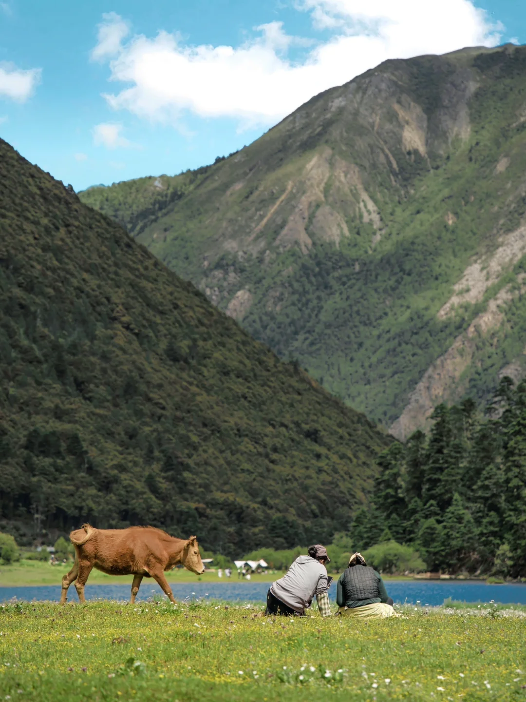 我宣布！这是香格里拉最后一处高山秘境！！