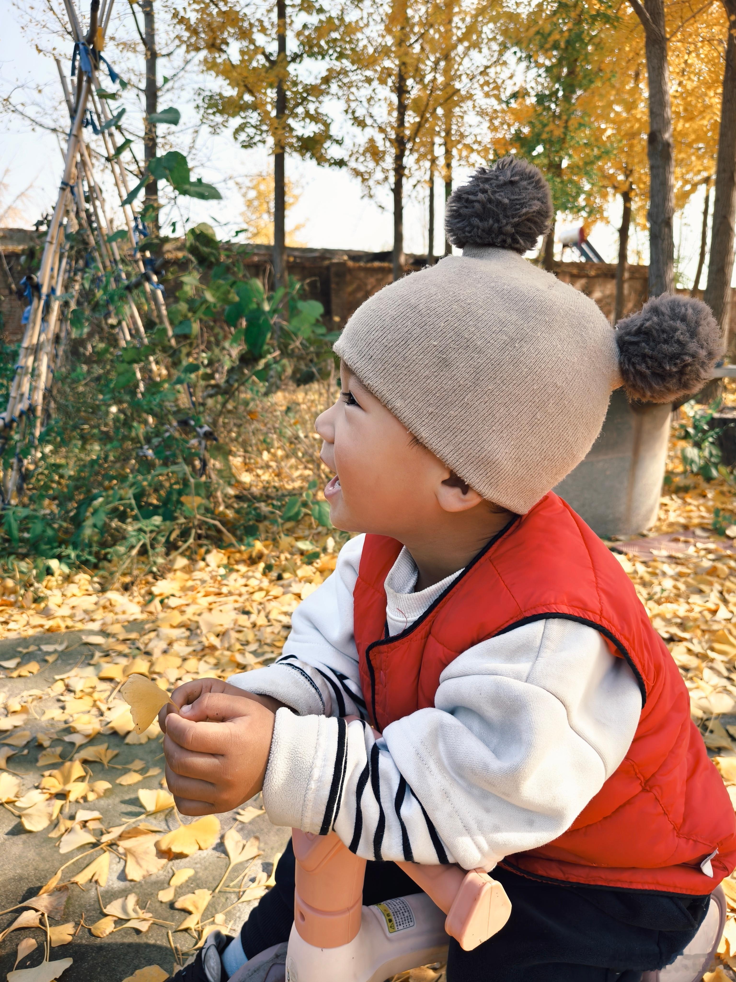 真得很用心的父母啊我家这边银杏叶也很多，回头给小杨同学整上 