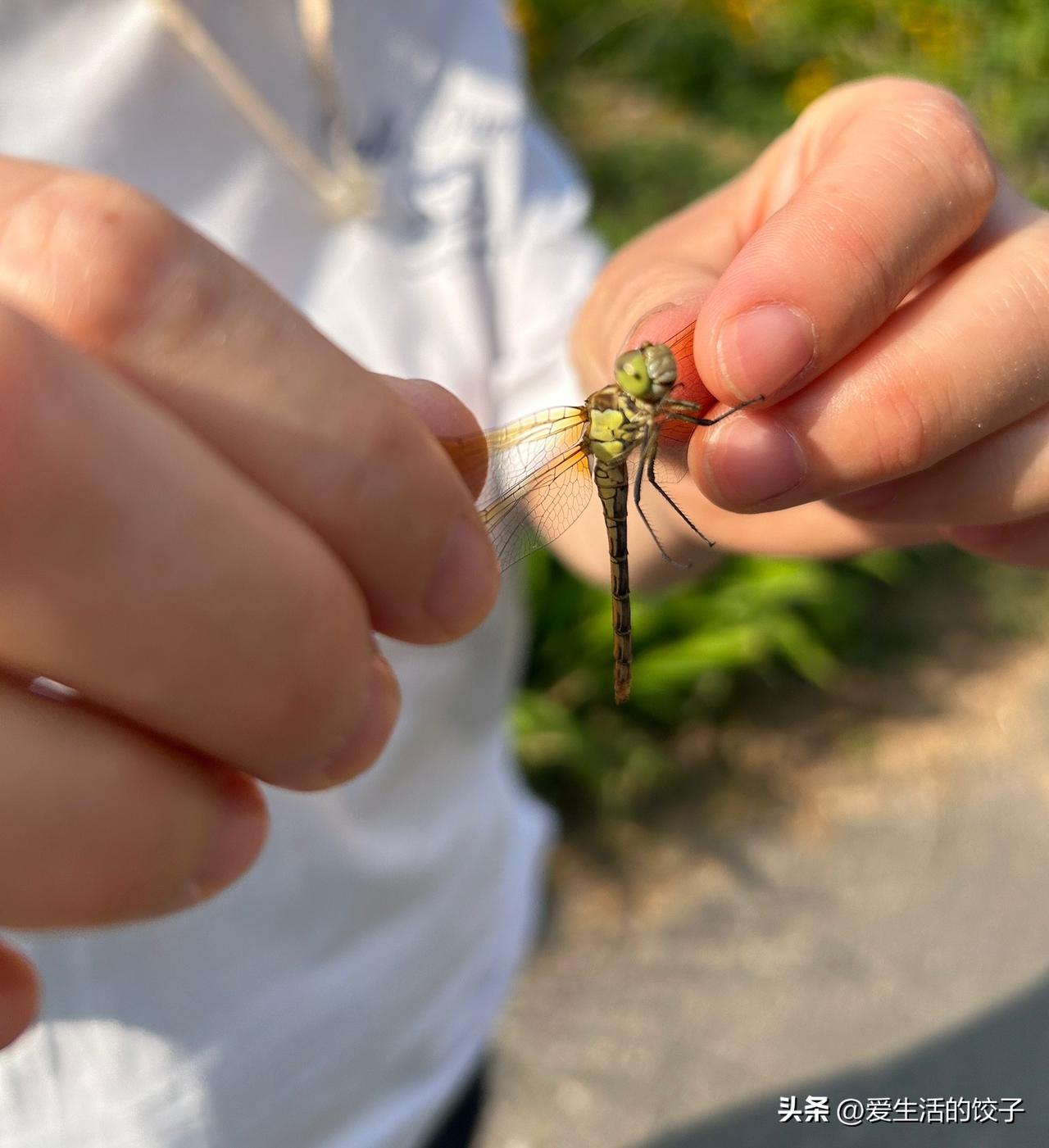 退休后日子自在随心，早起遛弯、跳跳广场舞，和老邻居唠唠家常。有空养养花、钓钓鱼，