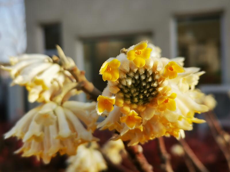 蹄踏幽径向青峦，
蝶绕花枝云作衫。
何必扬鞭催快意？
自当放步赏清欢。