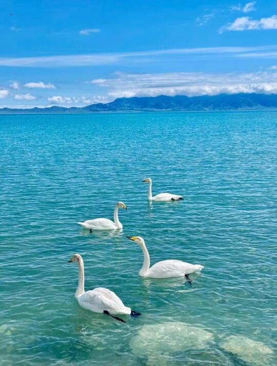 远离低层次的“聪明”，成就自我