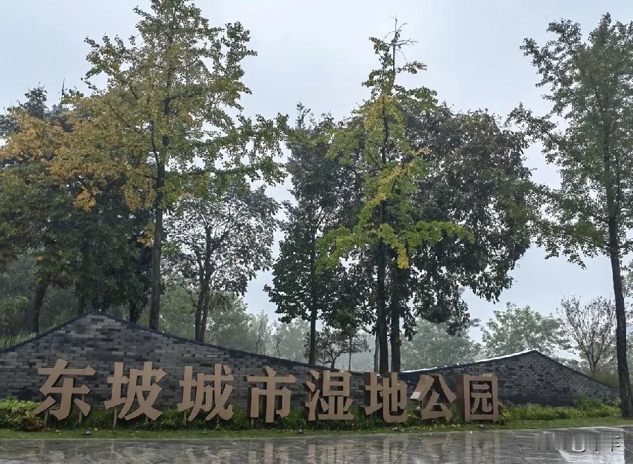 #初冬生活纪实# 
   [微风] 初冬游东坡湖公园[微风]
     烟雨朦胧