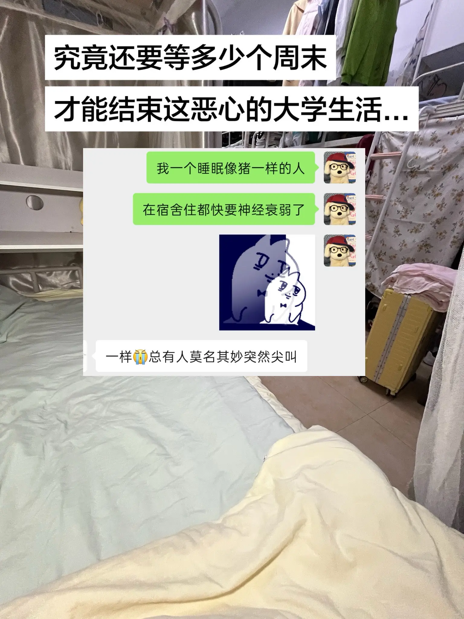 想结束这恶心的大学生活。