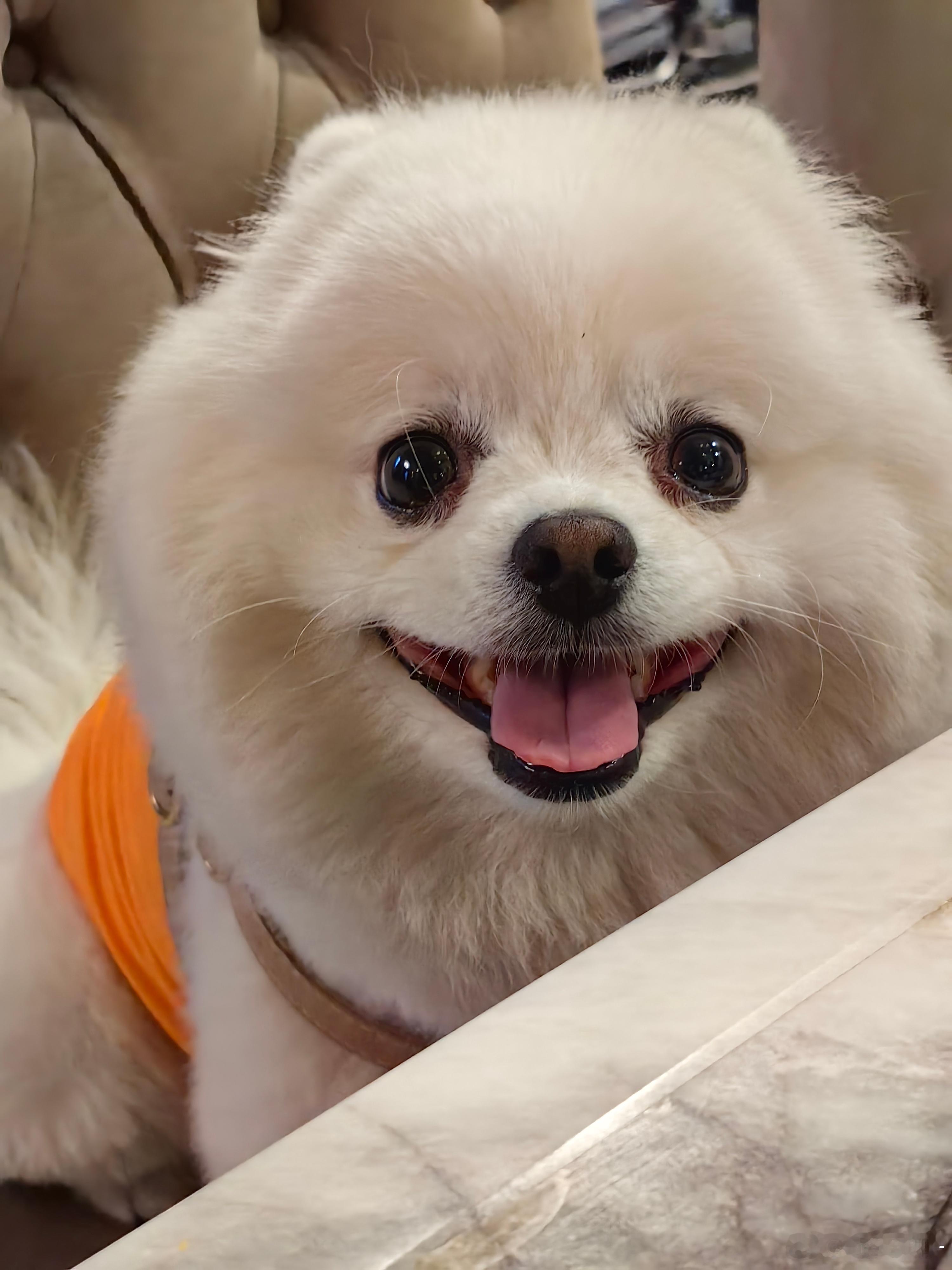 你一定是去了更好的地方对不对 下辈子投胎做个漂亮小孩吧 希望也有人疼爱你 希望你