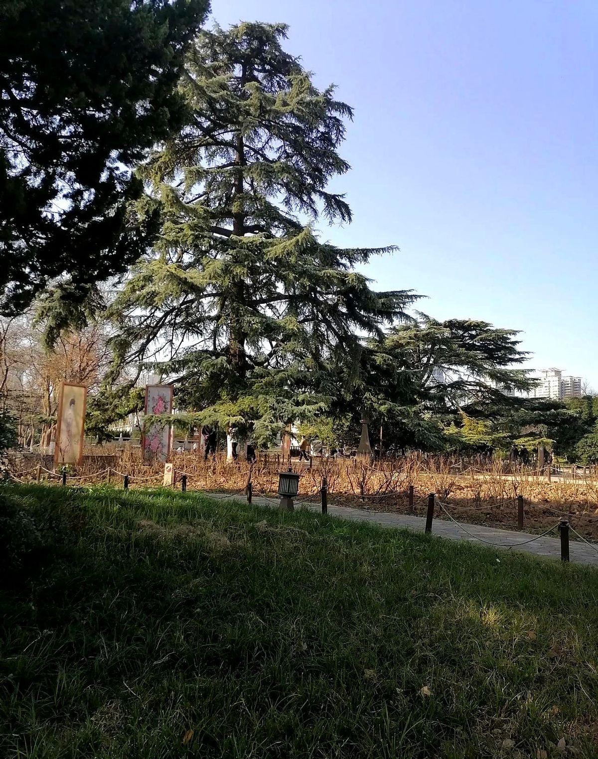 今年的考研调剂们要注意了。
天啊！
教育部这招“盲选公平化”看似暖心，实则暗藏玄