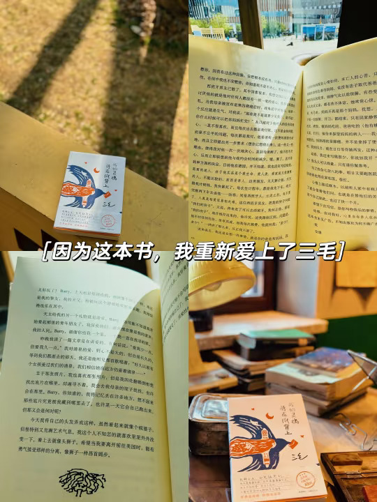 读完三毛83封信，才懂她如此热烈、痛快的活过