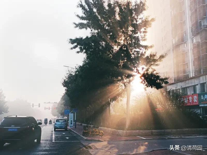 晨光即馈赠，清醒即福气。

推开窗，不谈世事沧桑，只看阳光正好；不念过往云烟，只