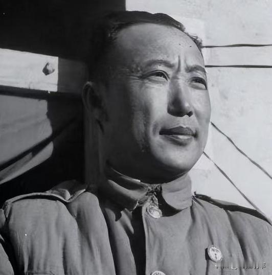 国民党里最倒霉的一位高官：他本来已经成功逃到台湾岛了，结果却被蒋介石硬是给赶回了