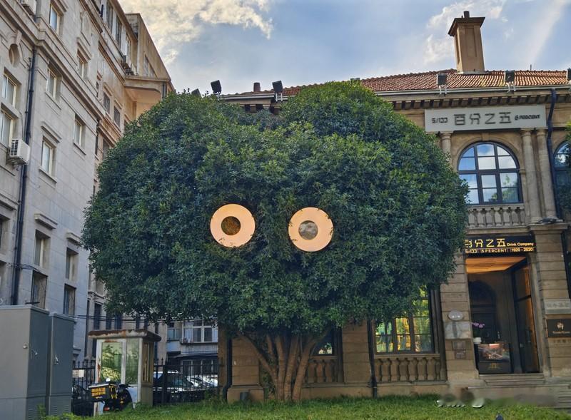 为充分彰显武汉"英雄之城，创新之城，山水之城"的独特魅力，这座城市的十二月被赋予