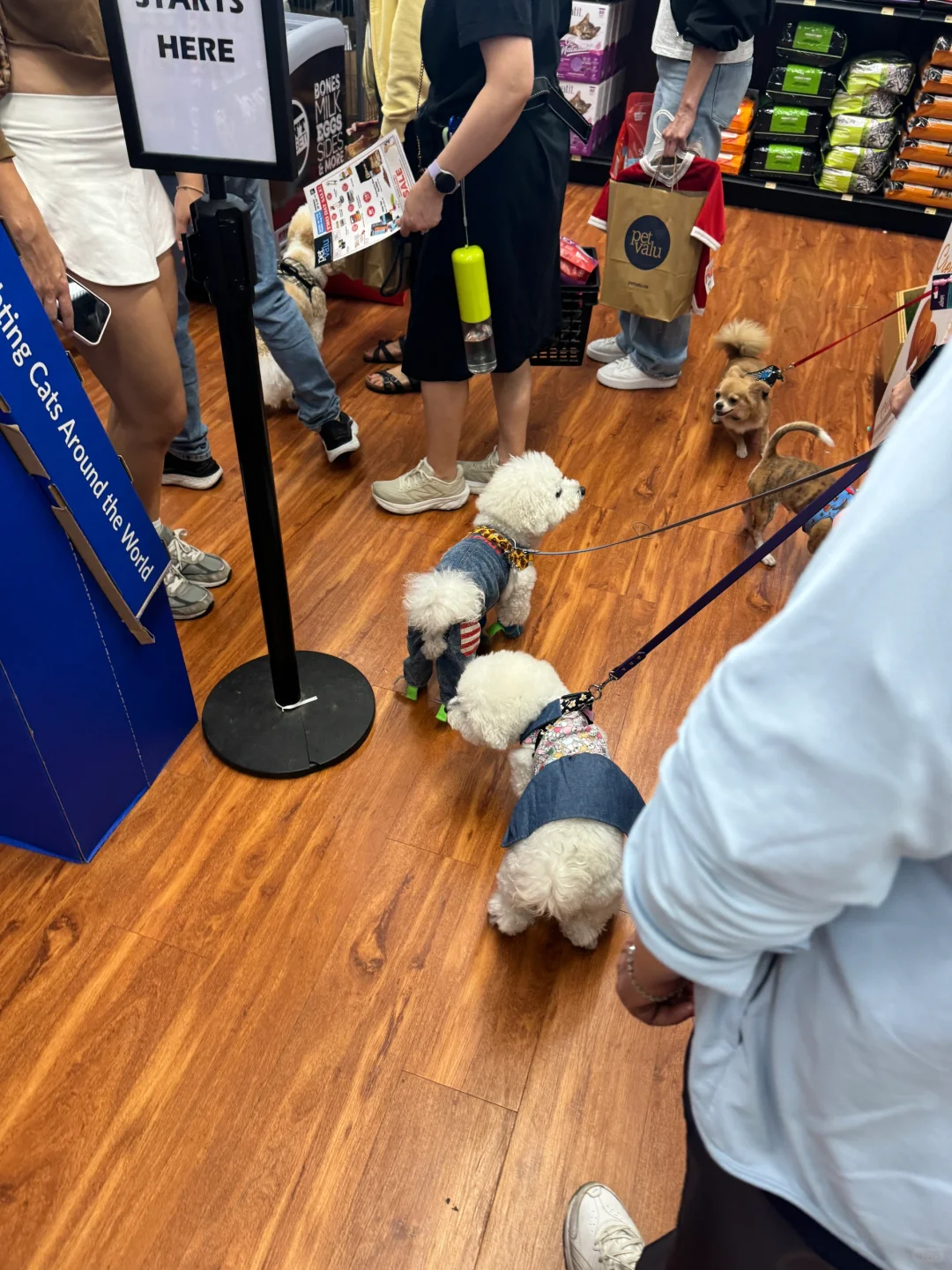 Pet Valu Markham店搞活动了！