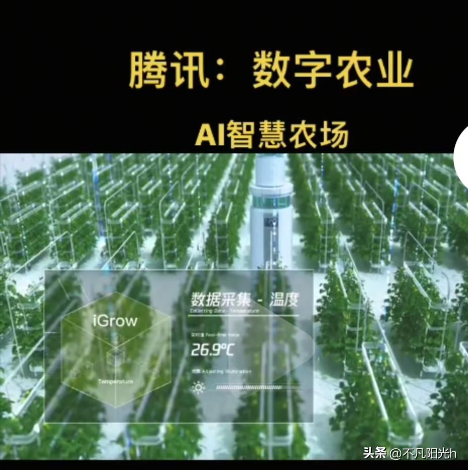 你敢信吗？成都一个90后小伙子，当初在城里天天加班，后来干脆辞职回了农村，靠种地