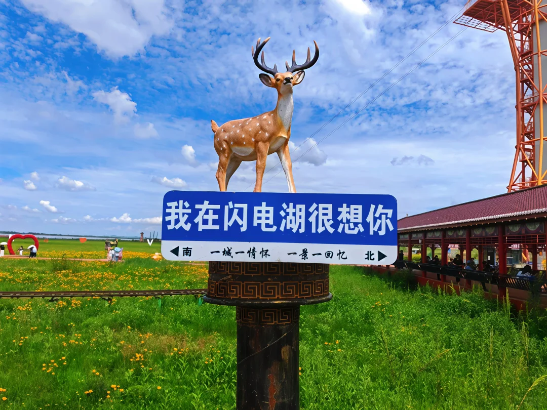 端午2日🍃草原骑马+七彩森林治愈出逃