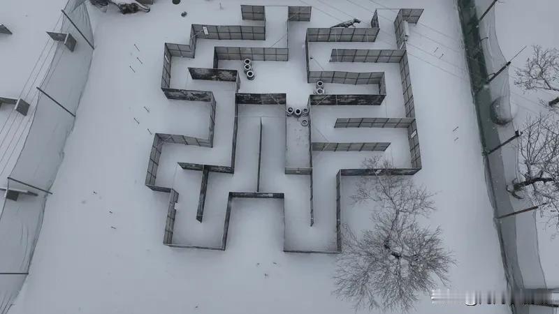 《雪迷宫》剧情有亮点也有不足。它在叙事模式上有创新，把缉毒故事和东北生活日常结合