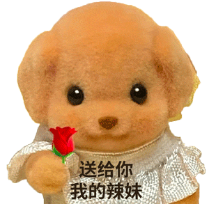 不想给要高考的宝宝们说加油只希望你们放轻松一点～^-^评论区发五个红包🧧！高考