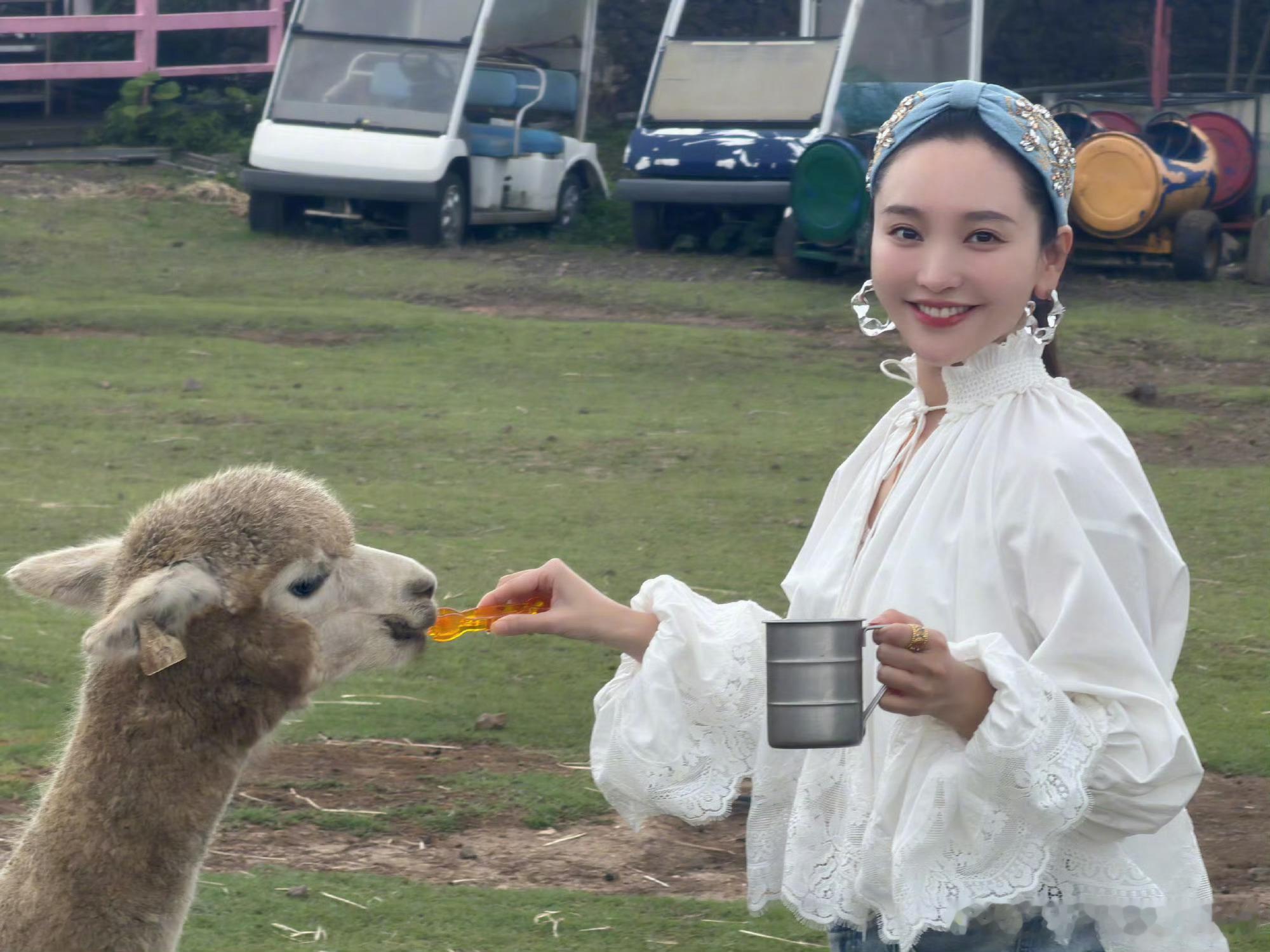 金莎 我真的不是一米五几金莎晒和羊驼的合照澄清身高，称自己实际166cm，总被拍