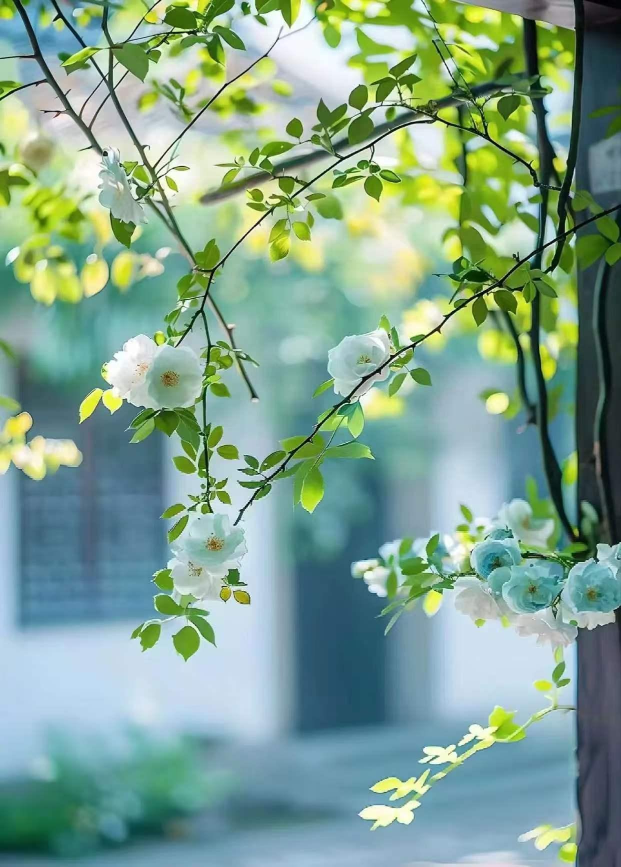 秋风，秋雨，灯暗天，黄昏，雨停，坐窗前。西风急，南飞雁。不问归期，不渲染。

一