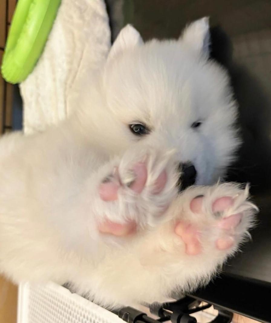 姨姨看！我把手手洗干净啦！ 