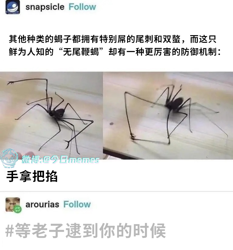 我直接（arourias）今日meme 今日memes