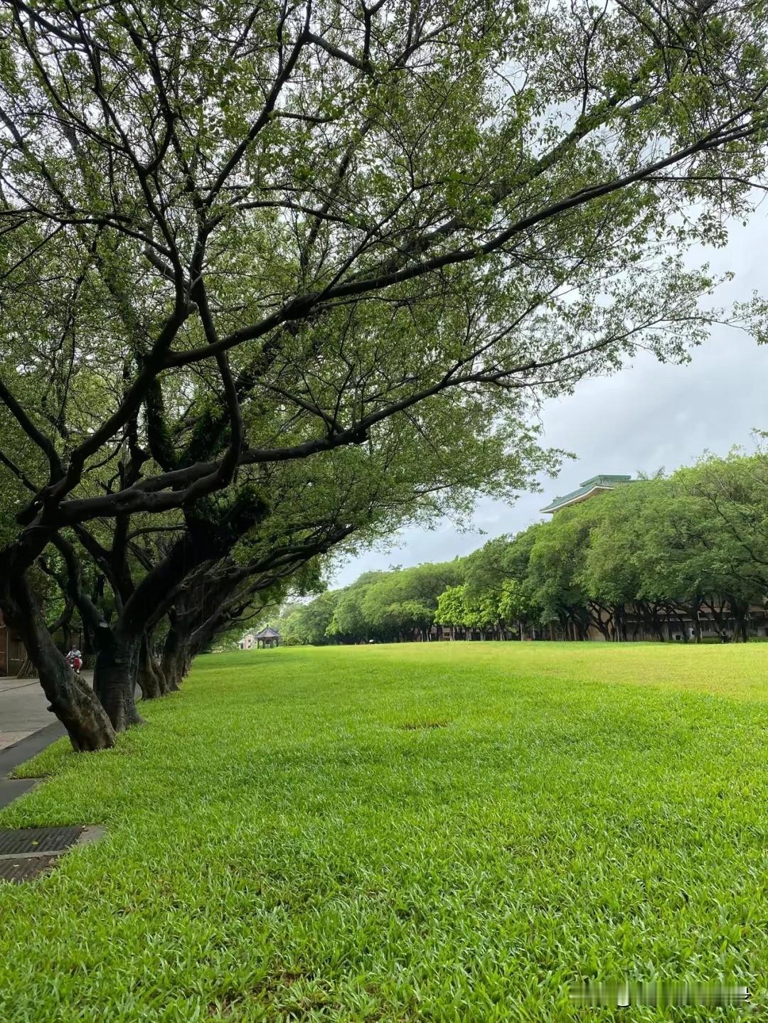 人生这一路啊，说到底就是一场旅行，既没有永远停驻的生命，也没有永远鲜嫩的青春。说