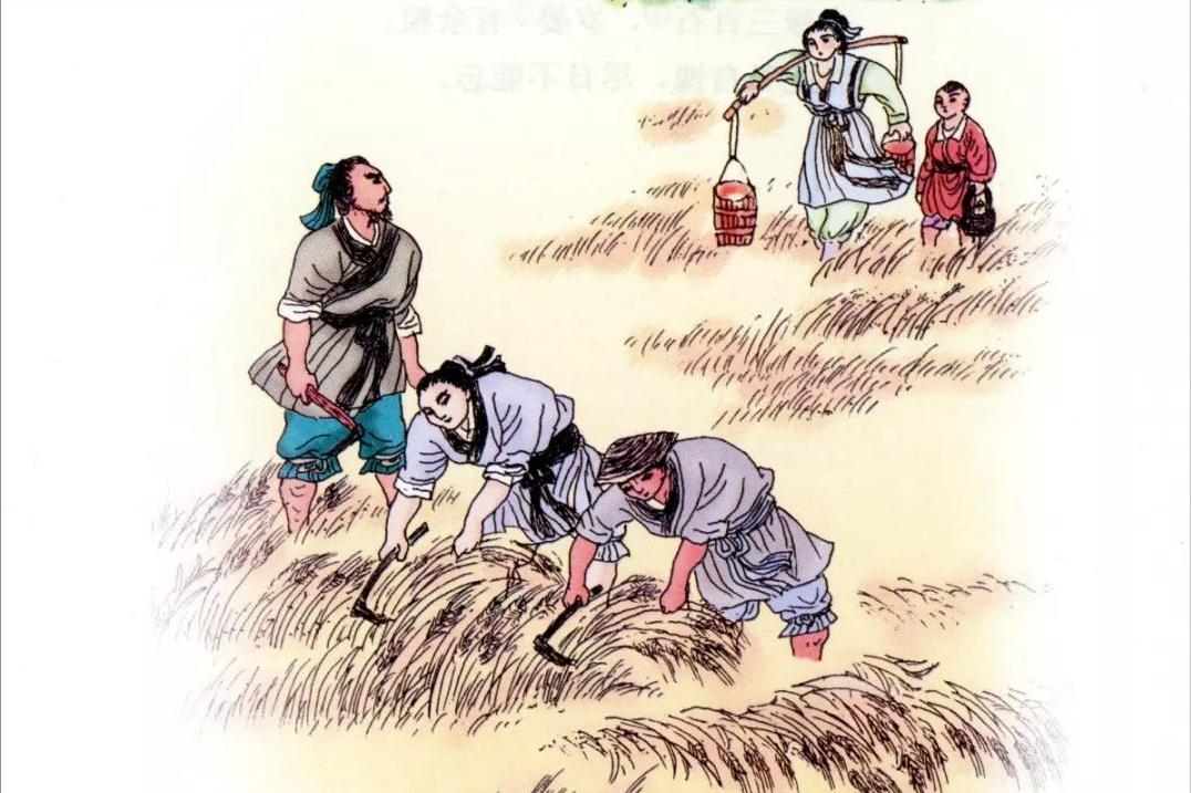 中国封建社会的乡村结构


中国几千年的基层治理，核心在于理解 “皇权不下县” 