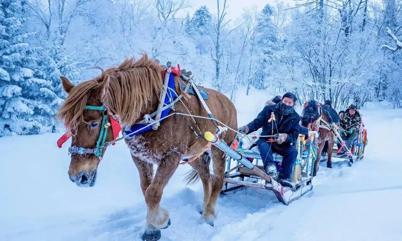这个冬天，私信我可以一起去长白山！！！6天5晚，韩老师带俩娃/全程伴游...