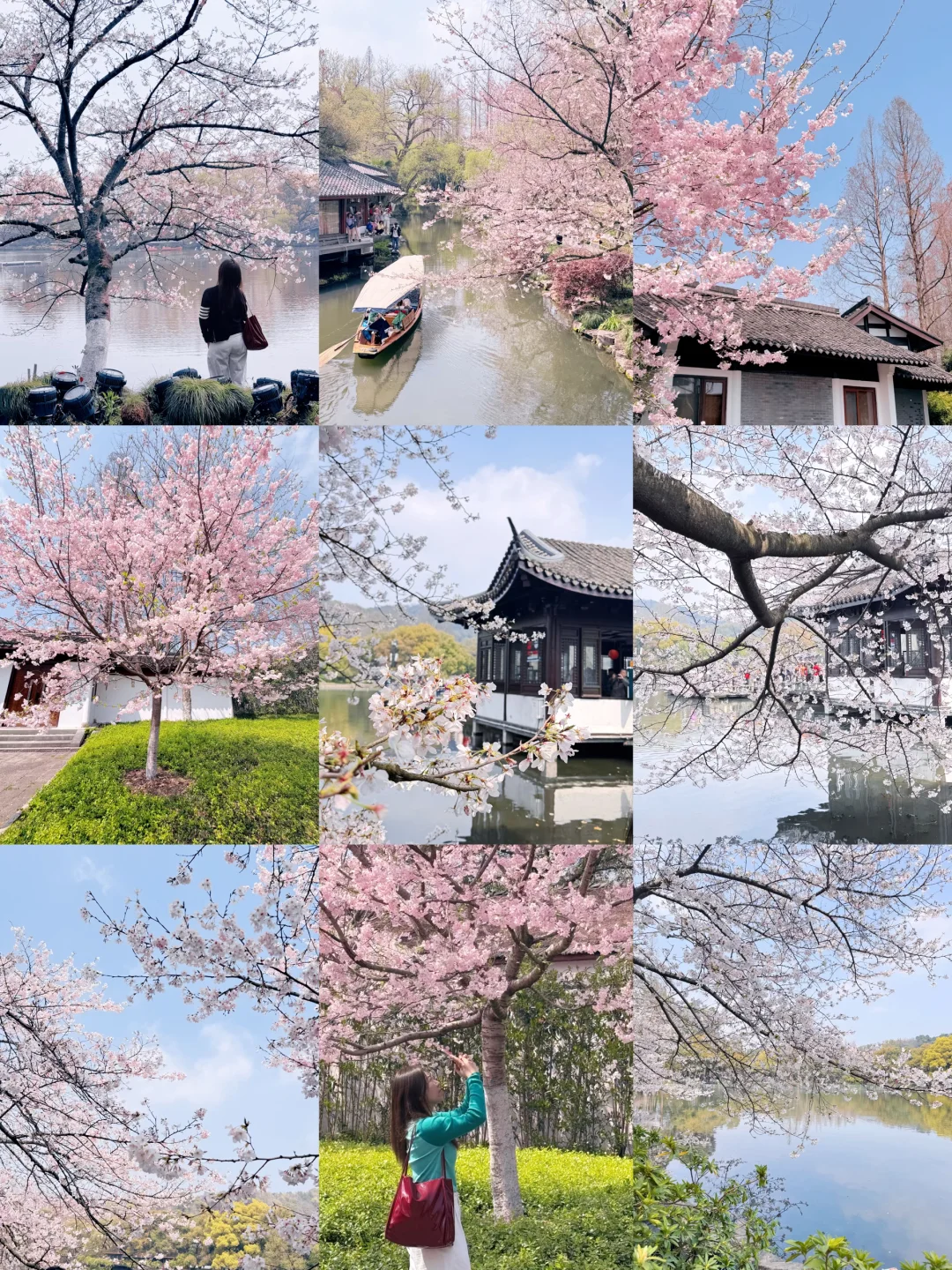 对带妈妈杭越苏沪7天旅行行程满意到睡不着