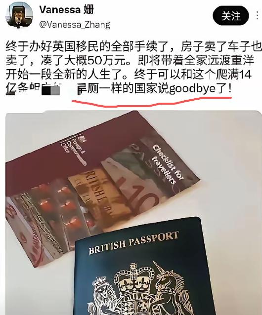 为了润到英国，卖房又卖车，也许还卖别的东西，在网上开心到不行，用最难听的话骂祖国