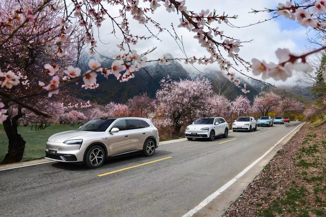 问界M6静音堆料藏不住，动态视频太吸睛
问界M6的极致静谧，源于全车全方位的静音