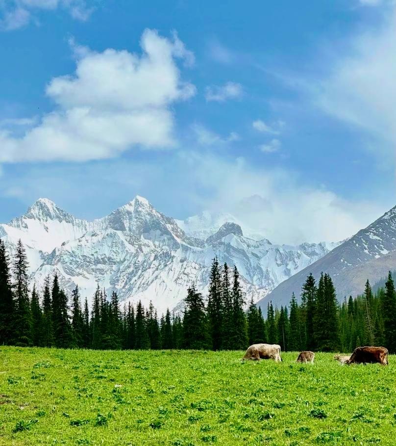 男人好色，女人爱财
你站在厨房，鱼就是食物
你站在佛堂，鱼就是生命
你站在市场，