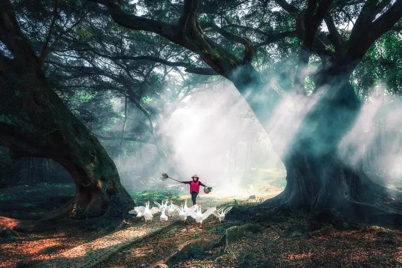 归隐的魅力，有谁能懂！看遍世间的春月秋风、聚散离合，远离城市的喧嚣与纷扰，独居一