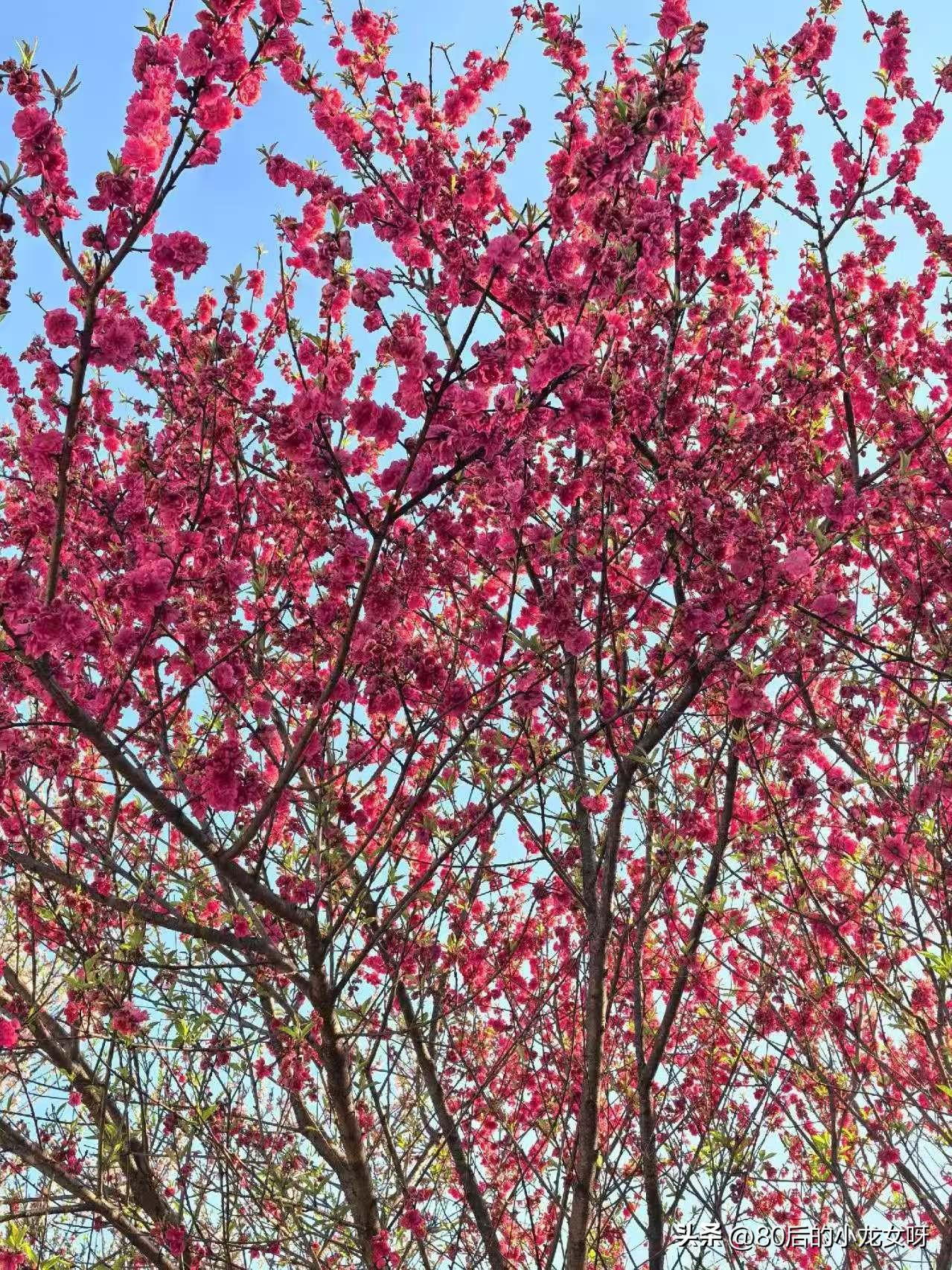 我每天坚持写五篇，坚持一个月，看看一个月下来会不会有进步。
想做一件事，总不能什