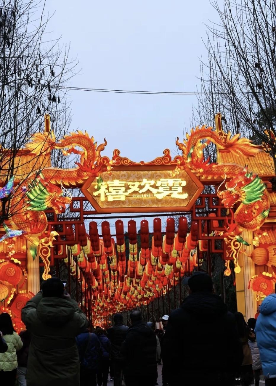 今年春节可以去园博园看灯会，夜色漫过园博园的湖岸，花灯在枝桠间眨眼睛，千盏灯笼串