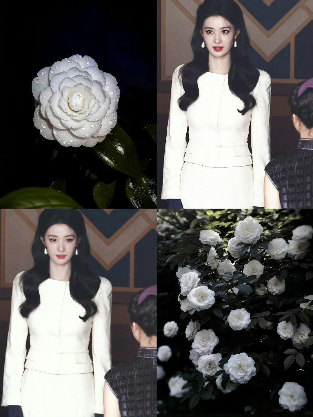 王楚然内娱花塑美人 郁金香的明艳是她笑涡，荷花的清越是她眼神。王楚然和花的适配度