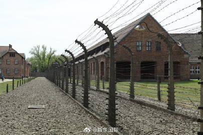 #瑞士将公开奥斯威辛死亡天使秘密档案##瑞士将公开奥斯威辛纳粹医生秘密档案#【瑞